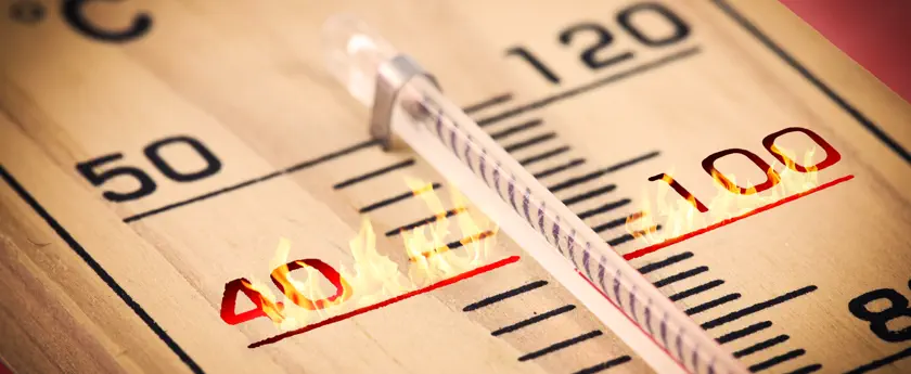 Employee Surveys Measure Your Company Temperature banner