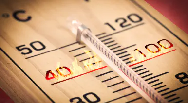 Employee Surveys Measure Your Company Temperature banner