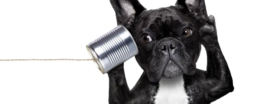 How to Conduct a Survey – Deploying the Survey banner