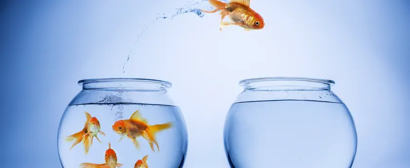 How to Conduct a Survey – Take Action banner