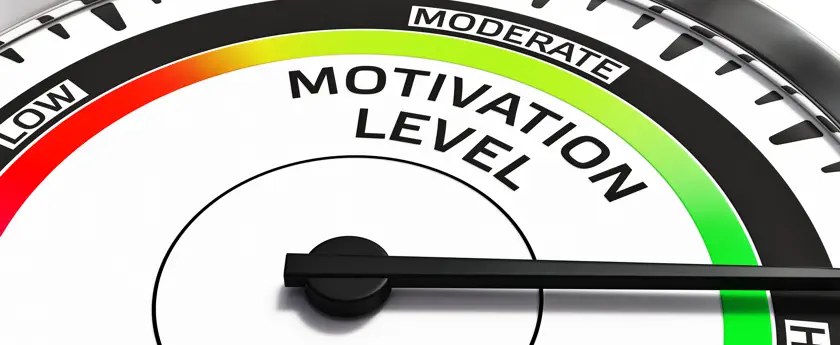 The Value of Surveying Employees and Customers banner