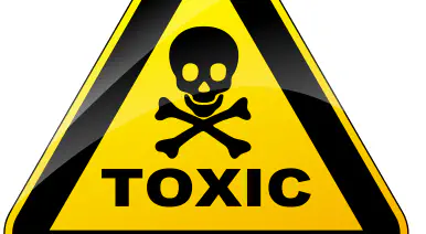 The High Price of a Toxic Company Culture banner