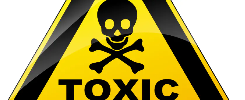 Toxic: Dealing With A Culture Of Blame