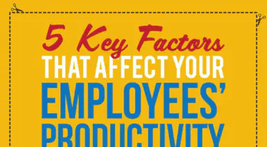 5 Key Factors That Affect Your Employees' Productivity banner